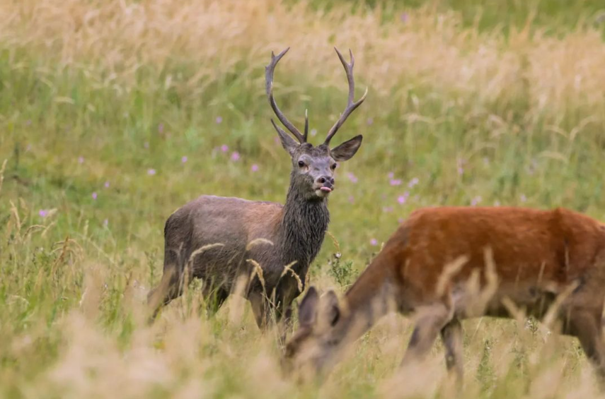 Snímka obrazovky 2024-04-23 194557