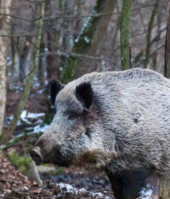 Snímka obrazovky 2024-04-23 194711