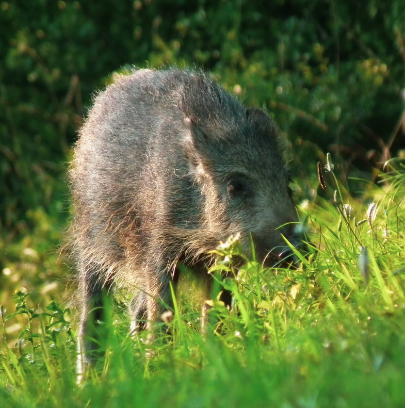 Snímka obrazovky 2024-04-23 194720