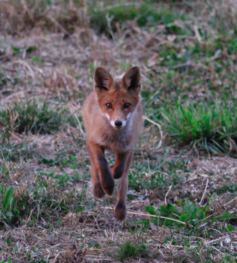 Snímka obrazovky 2024-04-23 194442