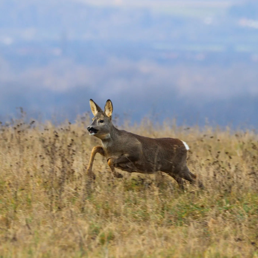 Snímka obrazovky 2024-04-23 194533