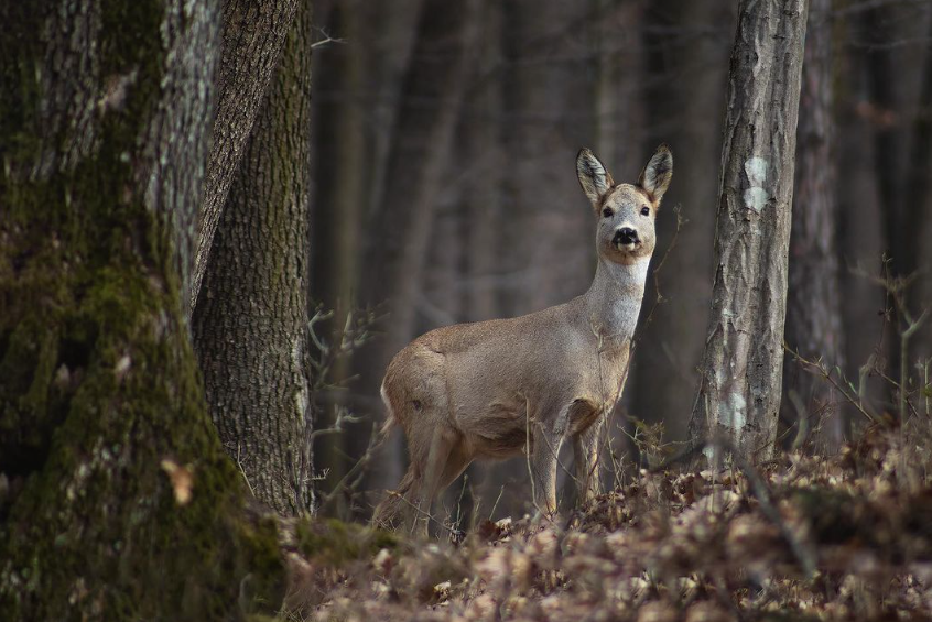Snímka obrazovky 2024-04-23 194635