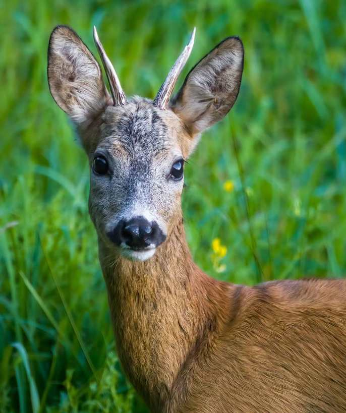 Snímka obrazovky 2024-04-23 194420