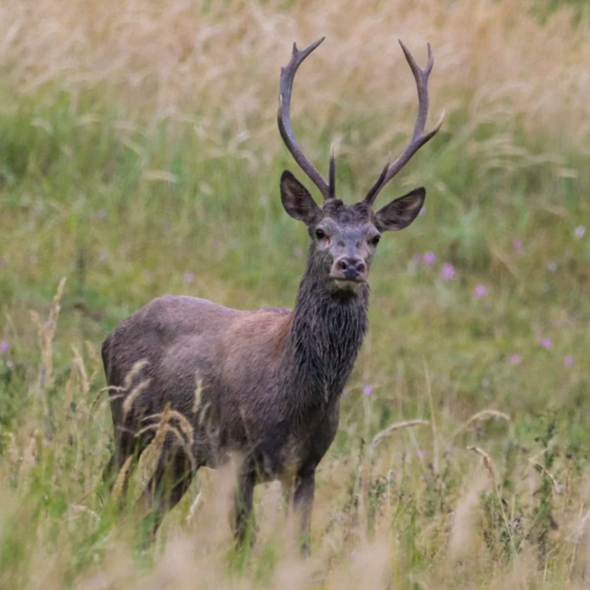 Snímka obrazovky 2024-04-23 194604