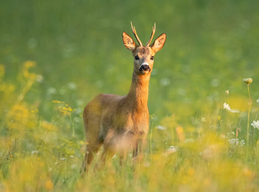 Snímka obrazovky 2024-04-23 194433