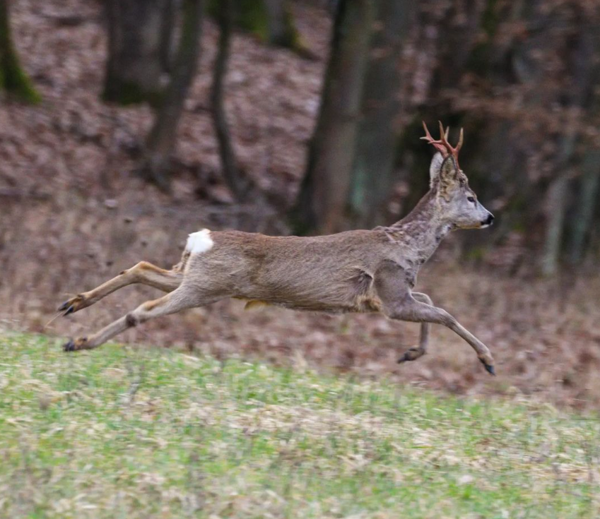 Snímka obrazovky 2024-04-23 194513