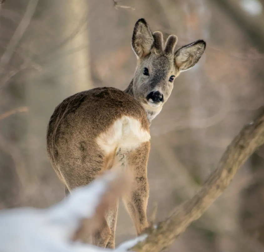 Snímka obrazovky 2024-04-23 194522