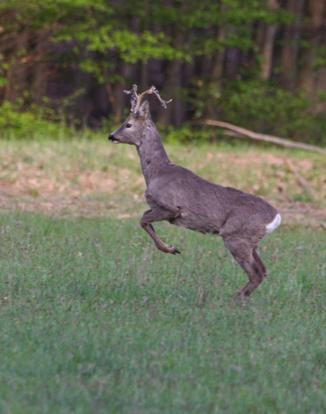 Snímka obrazovky 2024-04-23 194844