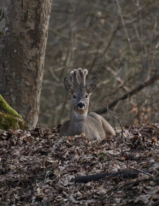 Snímka obrazovky 2024-04-23 194852