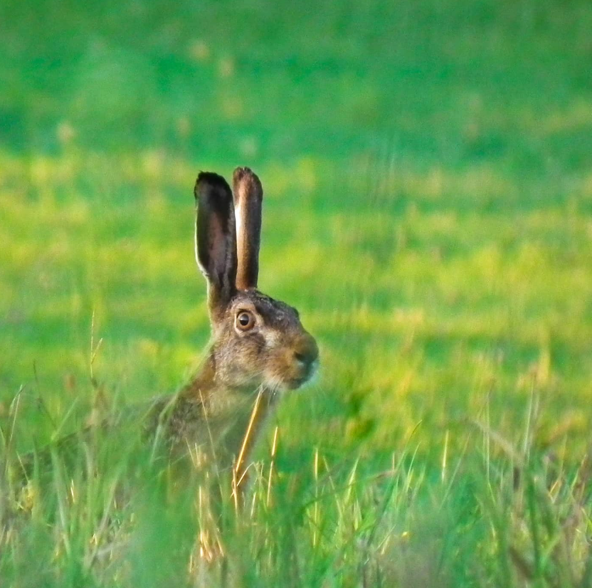 Snímka obrazovky 2024-04-23 194745