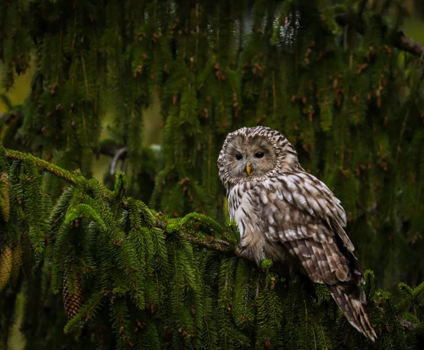 Snímka obrazovky 2024-04-23 194543