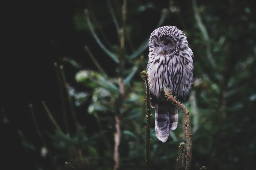 Snímka obrazovky 2024-04-23 194550