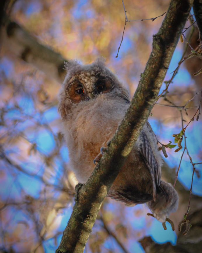 Snímka obrazovky 2024-04-23 194837
