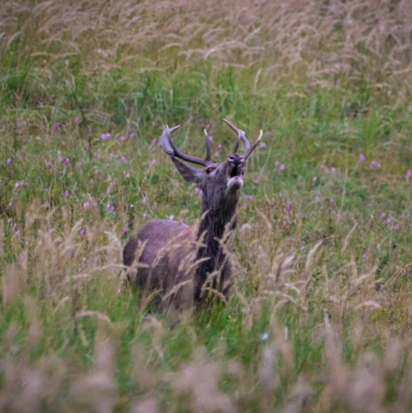 Snímka obrazovky 2024-04-23 194612