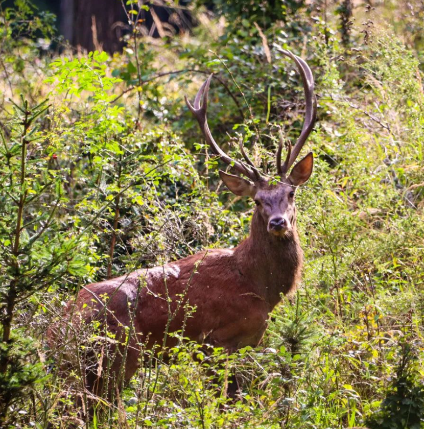 Snímka obrazovky 2024-04-23 194818