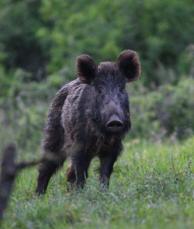 Snímka obrazovky 2024-04-23 194451