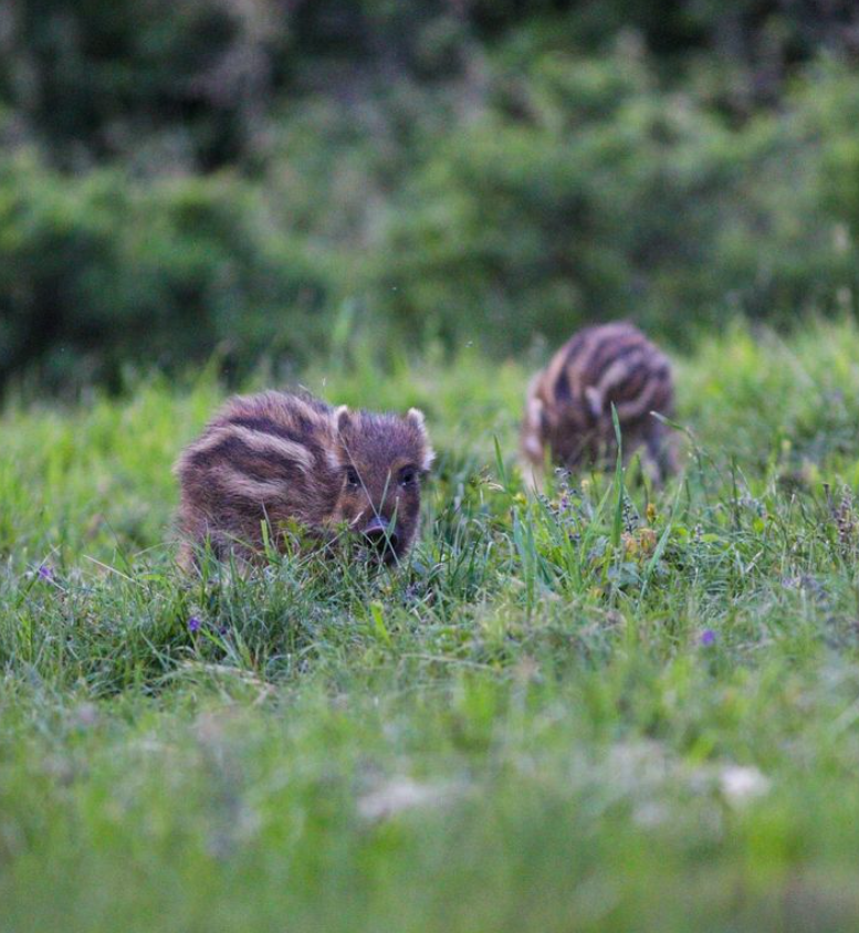 Snímka obrazovky 2024-04-23 194504